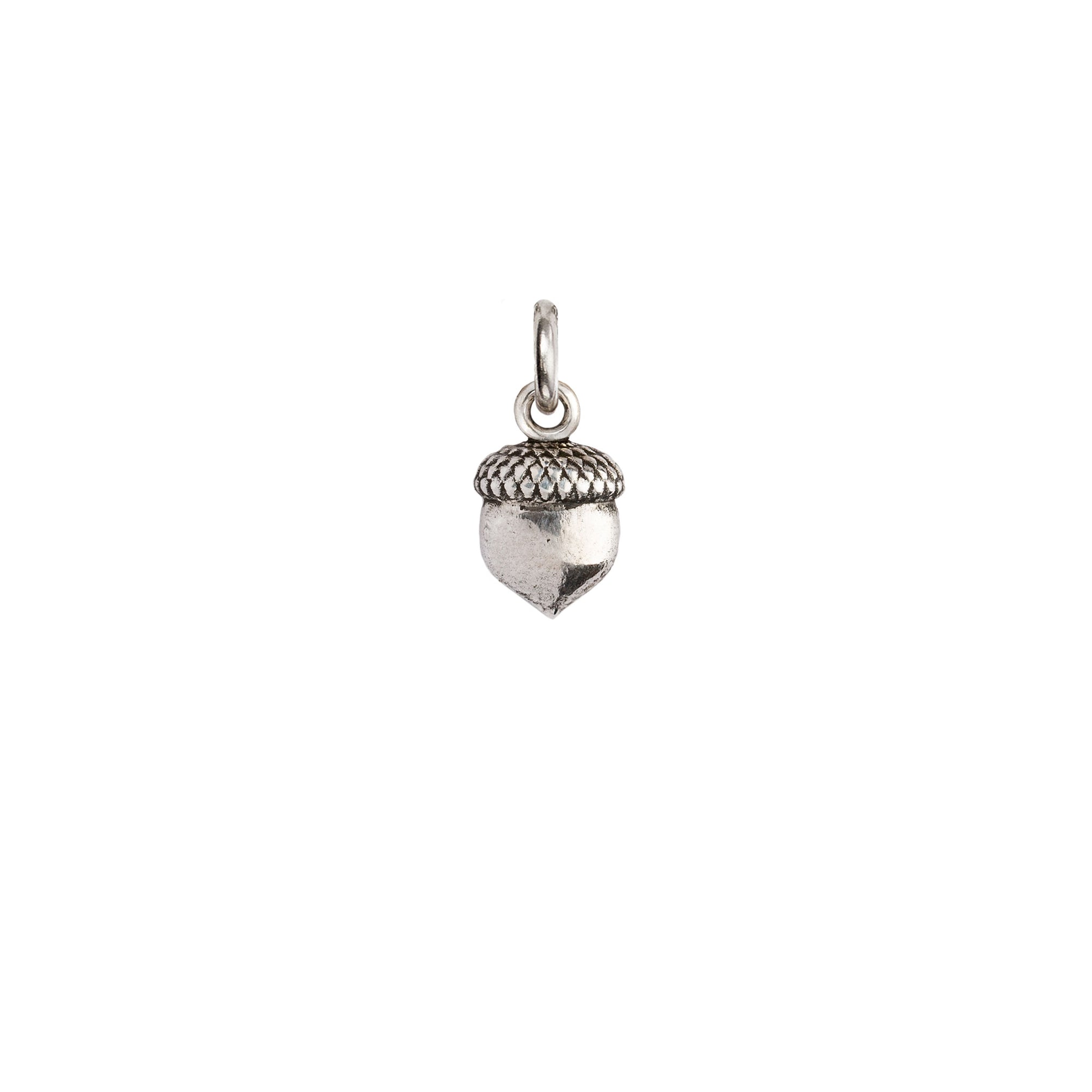 Acorn Symbol Charm