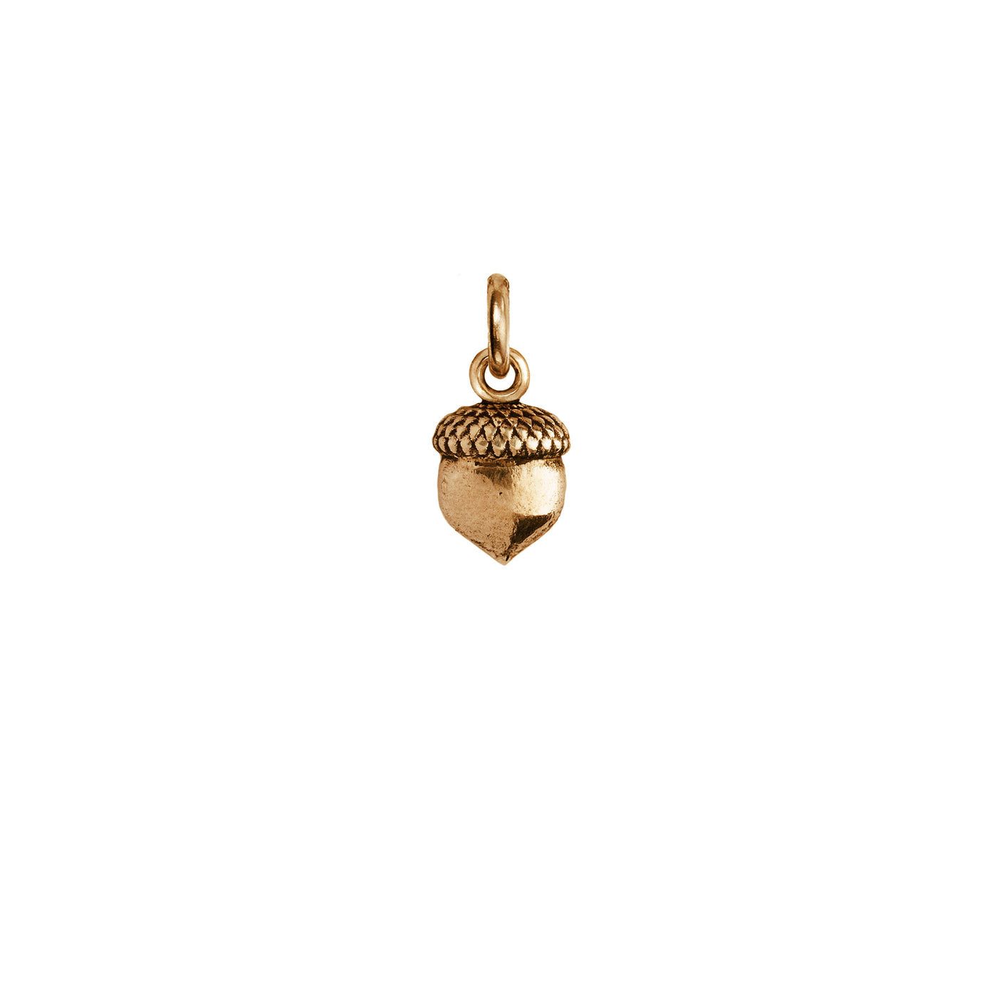 Acorn Symbol Charm